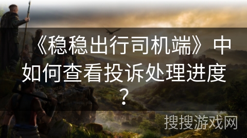 《稳稳出行司机端》中如何查看投诉处理进度？