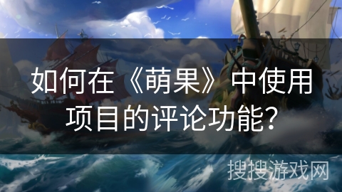 如何在《萌果》中使用项目的评论功能？