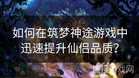 如何在筑梦神途游戏中迅速提升仙侣品质？