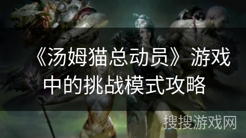 《汤姆猫总动员》游戏中的挑战模式攻略