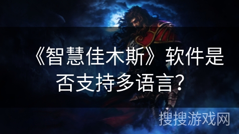 《智慧佳木斯》软件是否支持多语言？
