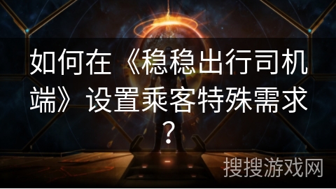 如何在《稳稳出行司机端》设置乘客特殊需求？