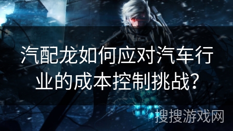 汽配龙如何应对汽车行业的成本控制挑战？