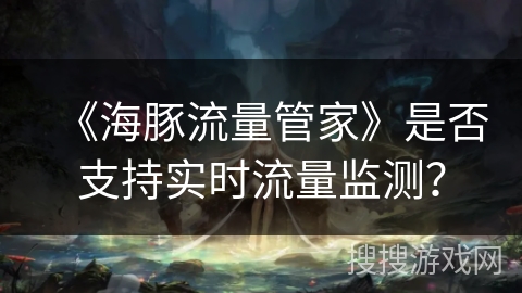 《海豚流量管家》是否支持实时流量监测？