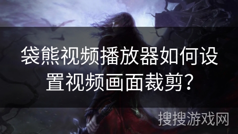 袋熊视频播放器如何设置视频画面裁剪？