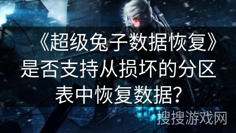 《超级兔子数据恢复》是否支持从损坏的分区表中恢复数据？