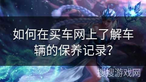 如何在买车网上了解车辆的保养记录？