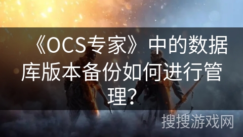 《OCS专家》中的数据库版本备份如何进行管理？