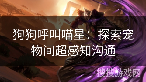 狗狗呼叫喵星：探索宠物间超感知沟通