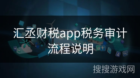 汇丞财税app税务审计流程说明