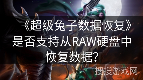 《超级兔子数据恢复》是否支持从RAW硬盘中恢复数据？
