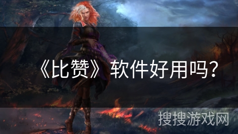 《比赞》软件好用吗？