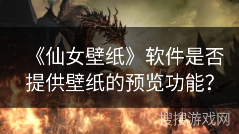 《仙女壁纸》软件是否提供壁纸的预览功能？