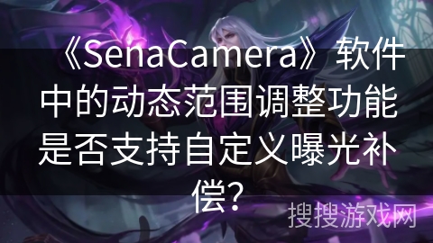 《SenaCamera》软件中的动态范围调整功能是否支持自定义曝光补偿？