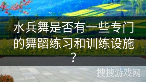 水兵舞是否有一些专门的舞蹈练习和训练设施？