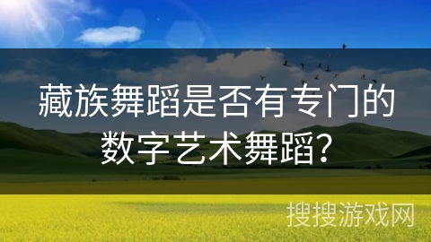 藏族舞蹈是否有专门的数字艺术舞蹈？