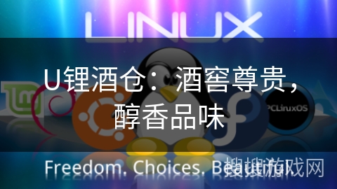 U锂酒仓：酒窖尊贵，醇香品味