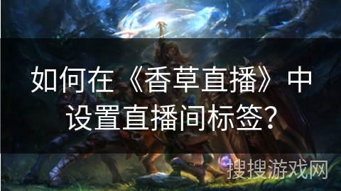 如何在《香草直播》中设置直播间标签？