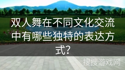 双人舞在不同文化交流中有哪些独特的表达方式？