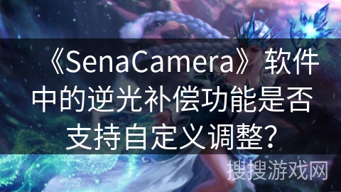 《SenaCamera》软件中的逆光补偿功能是否支持自定义调整？