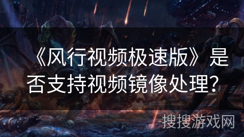 《风行视频极速版》是否支持视频镜像处理？