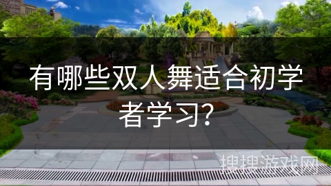 有哪些双人舞适合初学者学习？