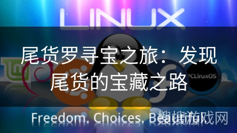 尾货罗寻宝之旅：发现尾货的宝藏之路