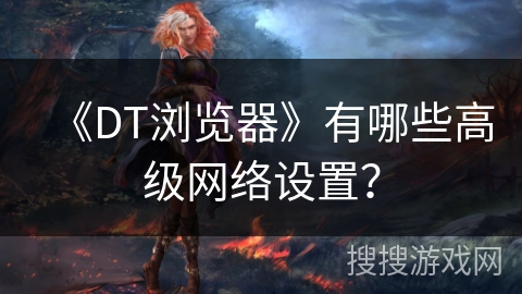 《DT浏览器》有哪些高级网络设置？