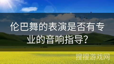 伦巴舞的表演是否有专业的音响指导？