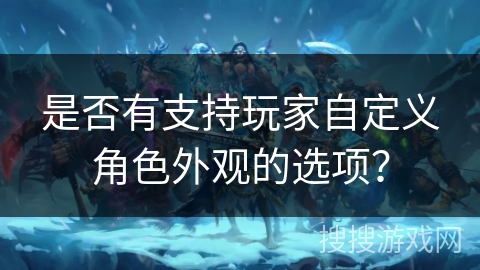 是否有支持玩家自定义角色外观的选项？
