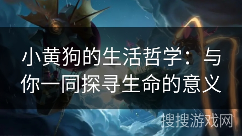 小黄狗的生活哲学：与你一同探寻生命的意义