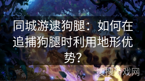同城游逮狗腿：如何在追捕狗腿时利用地形优势？