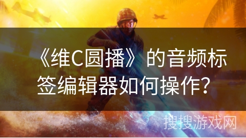 《维C圆播》的音频标签编辑器如何操作？