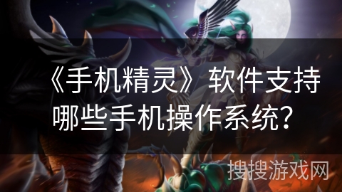 《手机精灵》软件支持哪些手机操作系统？