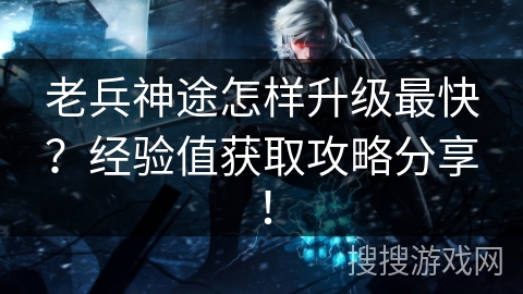 老兵神途怎样升级最快？经验值获取攻略分享！