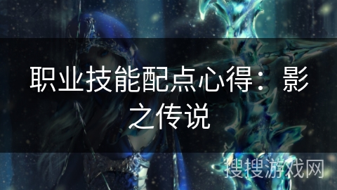 职业技能配点心得：影之传说