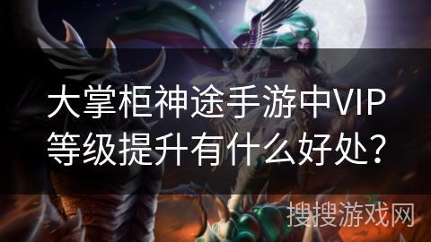 大掌柜神途手游中VIP等级提升有什么好处？