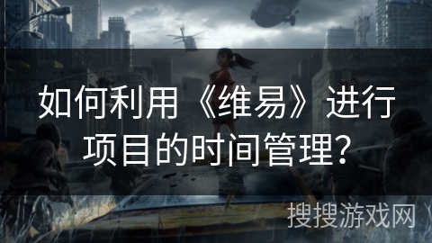 如何利用《维易》进行项目的时间管理？