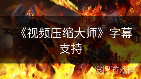 《视频压缩大师》字幕支持