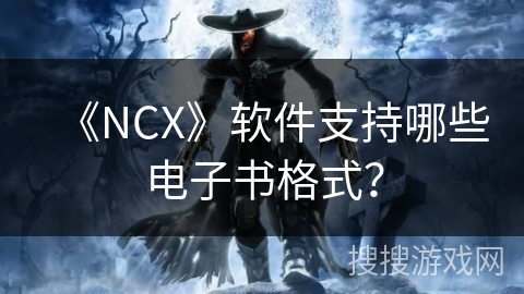 《NCX》软件支持哪些电子书格式？