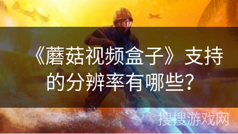 《蘑菇视频盒子》支持的分辨率有哪些？