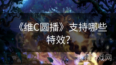 《维C圆播》支持哪些特效？