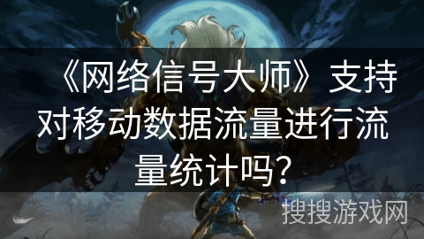 《网络信号大师》支持对移动数据流量进行流量统计吗？