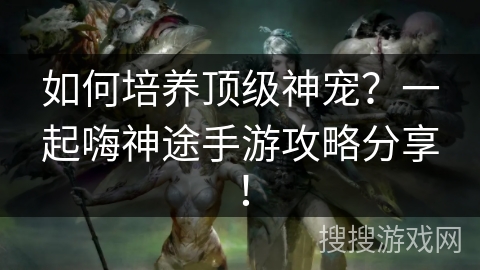 如何培养顶级神宠？一起嗨神途手游攻略分享！