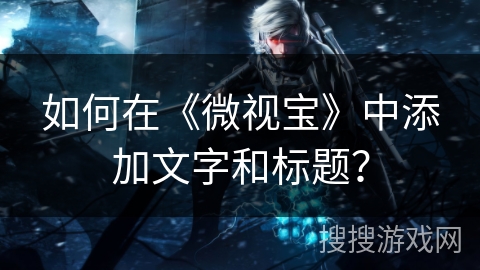 如何在《微视宝》中添加文字和标题？