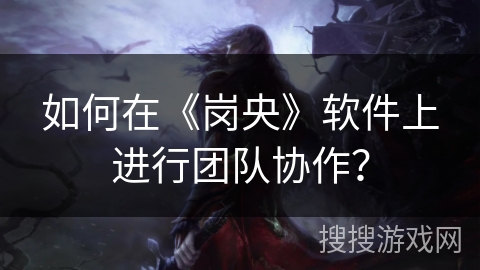 如何在《岗央》软件上进行团队协作？