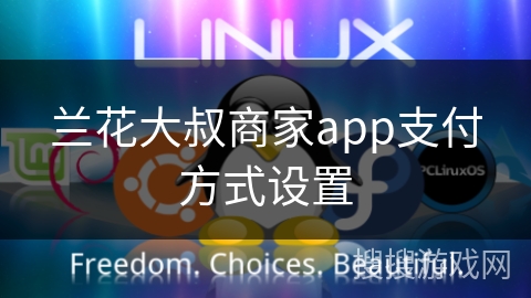兰花大叔商家app支付方式设置