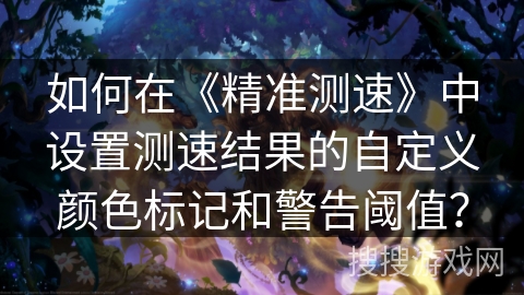 如何在《精准测速》中设置测速结果的自定义颜色标记和警告阈值？