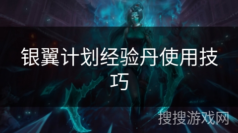 银翼计划经验丹使用技巧