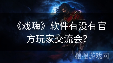 《戏嗨》软件有没有官方玩家交流会？